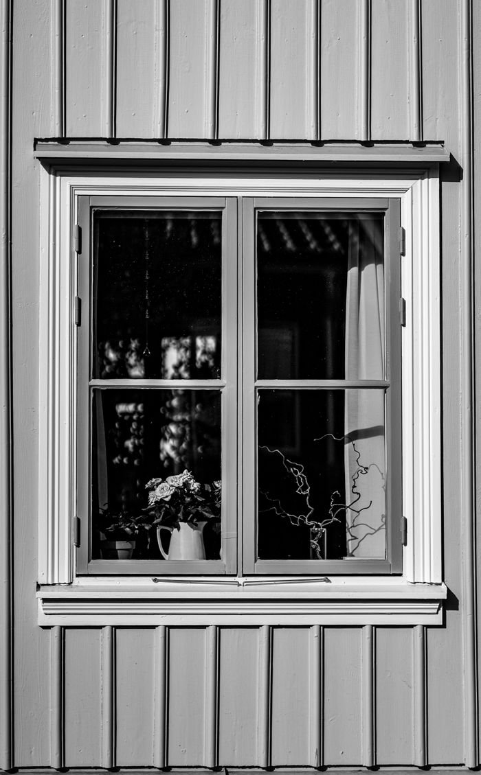 A black and white image of a window with potted plants on the windowsill, artistically composed.