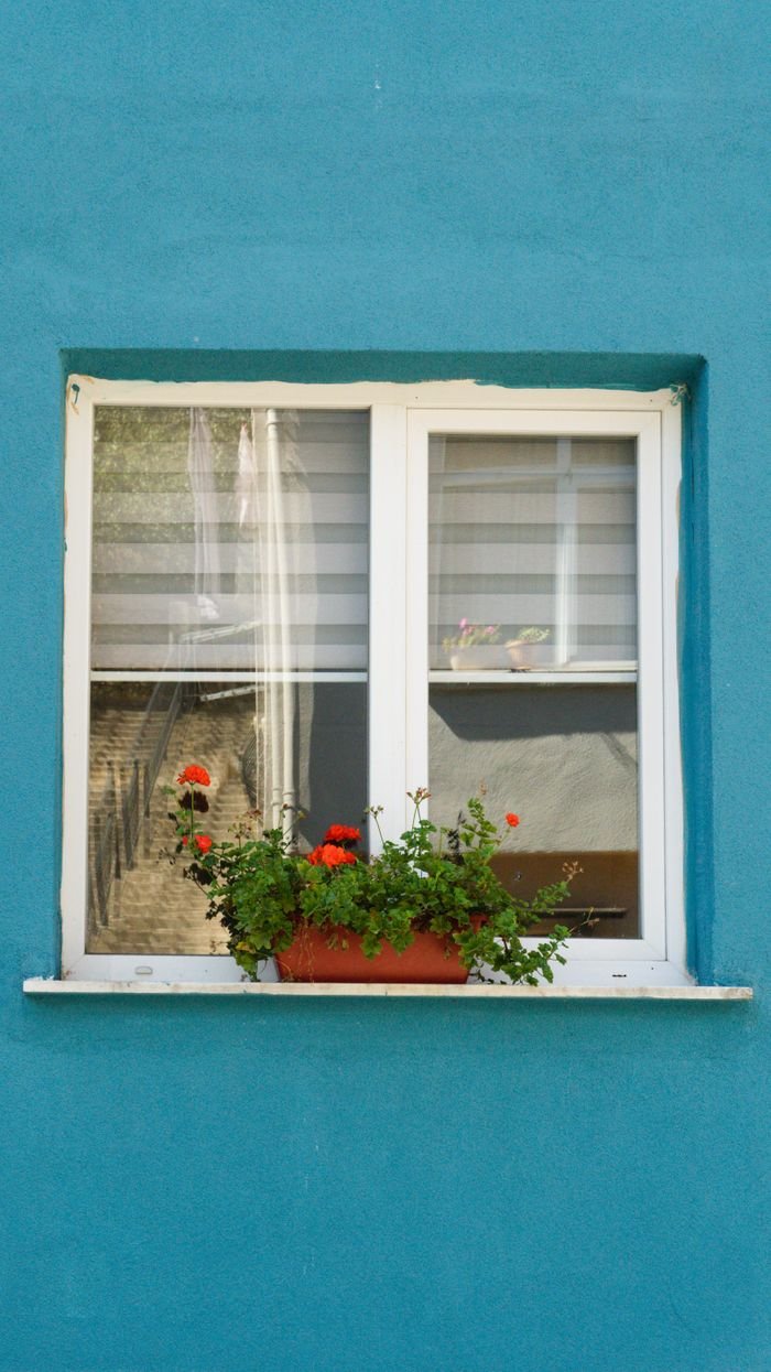 Bright blue wall with a window and vibrant flower box in İstanbul, Türkiye.
